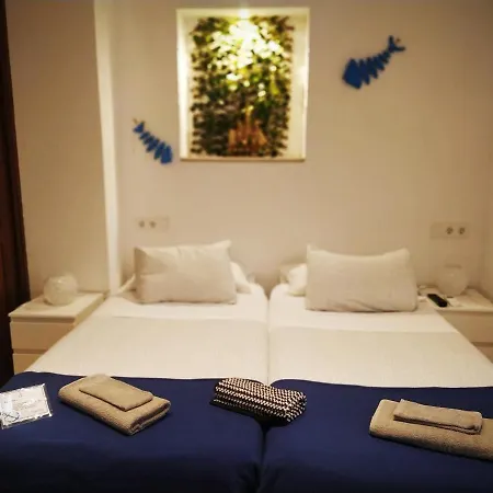 Guest house Casa Nautilus *